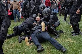 Pigs Cut Down.jpg Pigs Cut Down.jpg