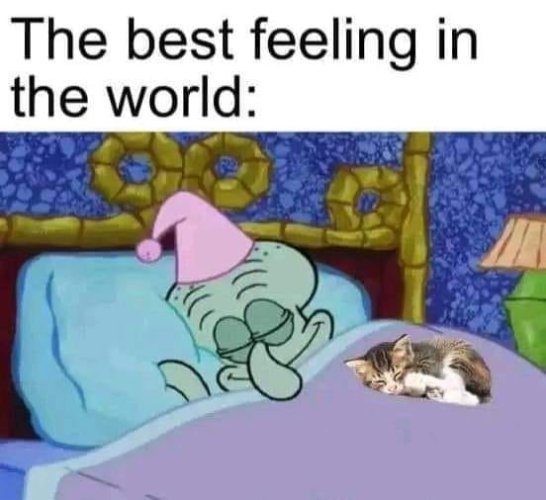 az2dnEK_700b.jpg az2dnEK_700b.jpg