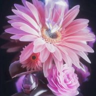 DiamondIris