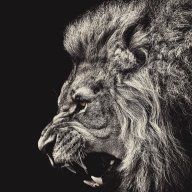 Black Lion