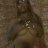 Courtney Houdini LLC