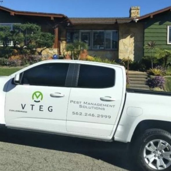 VTEG Pest Management Solutions
