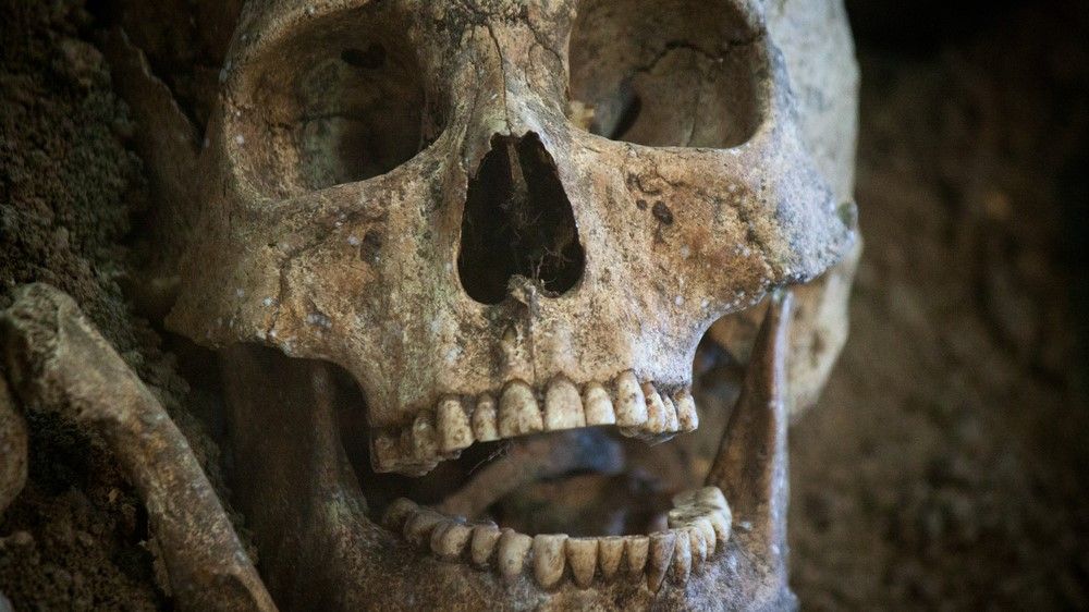 www.livescience.com