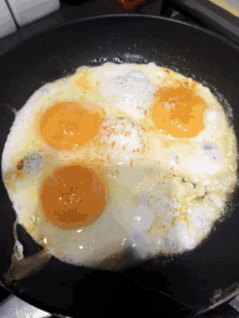 egg.gif