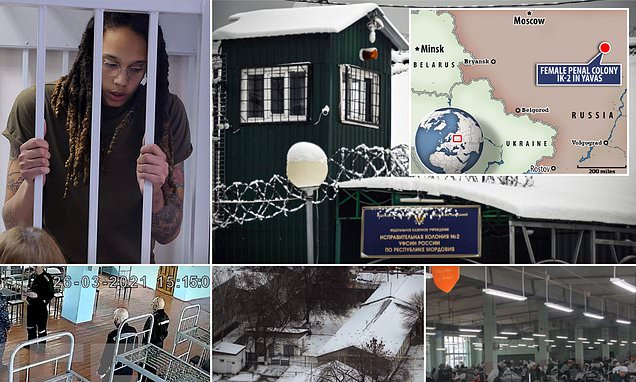 www.dailymail.co.uk