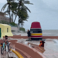 Key West Waves GIF by Storyful