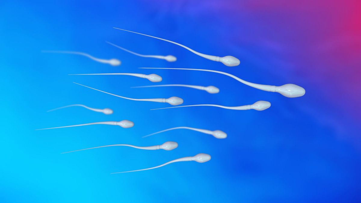 Research into falling sperm counts finds 'alarming' levels of chemicals in male urine samples Research into falling sperm counts finds 'alarming' levels of chemicals in male urine samples
