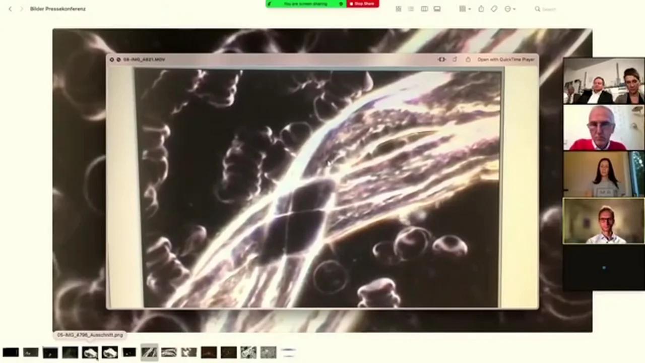 odysee.com